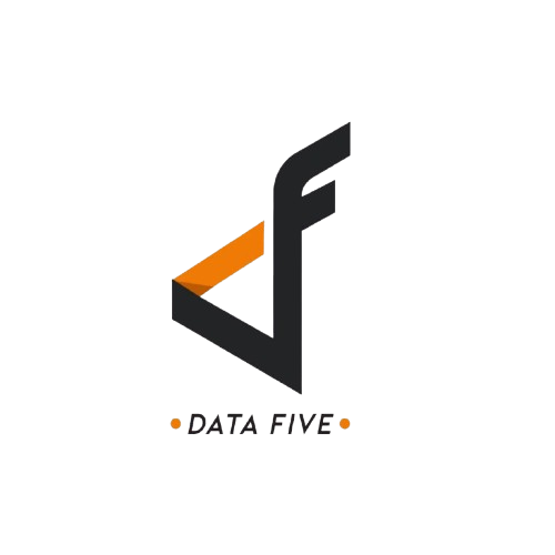 DATA FIVE Logo